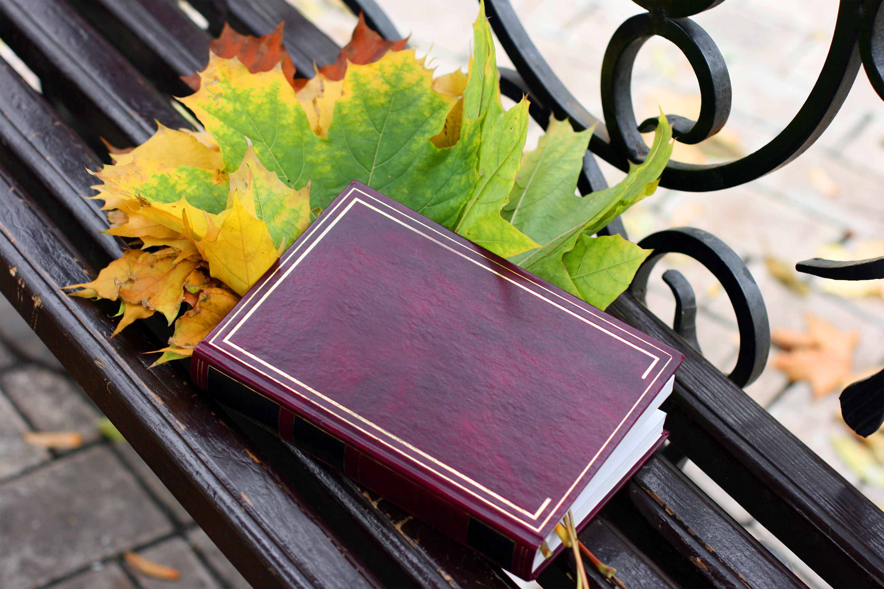 Площадь братьев Стругацких, Санкт-Петербург, Российская Федерация