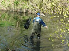 Донские ученые дали предварительную оценку нересту рыбы в 2025 году