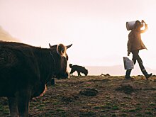 Средняя закупочная цена на молоко в Удмуртии по итогам 2023 года может составить 30 рублей