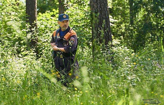 Пропавшего в горах режиссёра Сергея Алиева нашли живым