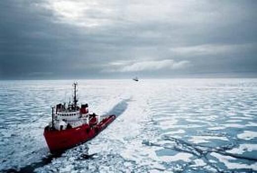 Стратегия развития Арктической зоны России будет готова к 20 марта