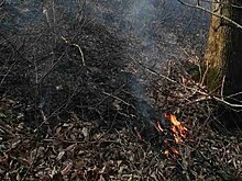 В Севастополе вводят пожароопасный сезон с 23 марта