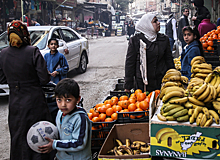 В Россию начались поставки фруктов и овощей из Сирии