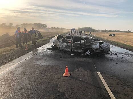 Четверо погибших: на Дону полицейские устанавливают обстоятельства ДТП