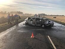 Четверо погибших: на Дону полицейские устанавливают обстоятельства ДТП