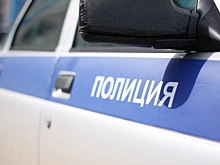 СМИ: в Москве у пенсионера украли картину Саврасова