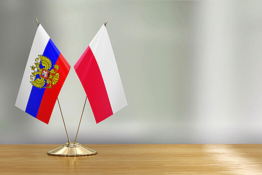DWN: провокации Польши против РФ приведут к мировой войне и миллионам смертей