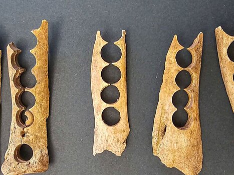 Археологи нашли следы косторезной мастерской на северо-западе Таганского района