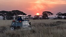 Дикий слон перевернул машину с туристами в Замбии