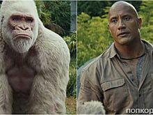 Дуэйн Джонсон и его лучший друг-горилла в новом трейлере «Рэмпейдж»