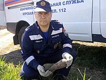 В Курской области нашли 50 боеприпасов