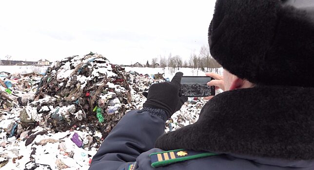 Жители Мошниц задыхаются от запаха отходов