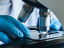 В Дагестане зарегистрированы случаи заболевания микоплазменной инфекцией