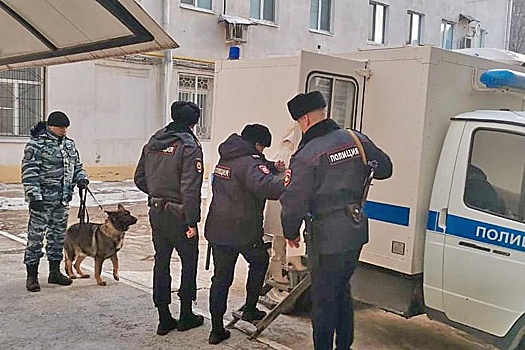 В Саратове ФСБ пресекла мошенничество при отлове бродячих животных