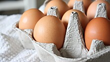 Стало известно, почему импортные яйца не попали в российские магазины