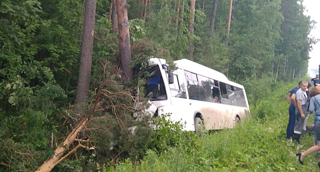 Перевозчик. которому принадлежал попавший вчера в ДТП в Перми автобус, работал без лицензии