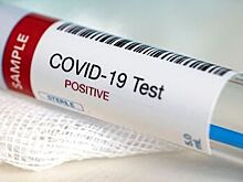 В Приморье заявили о снижении заболеваемости COVID-19 в новогодние праздники