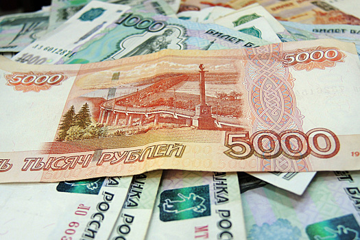 В России начались проверки скрытых доходов неработающих граждан
