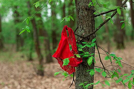 Путешествующие по лесам Финляндии люди начали натыкаться на секс-игрушки