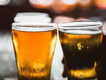 Невролог развеял миф о влиянии пива на развитие слабоумия