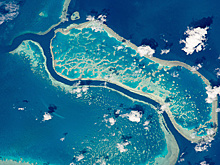 В Австралии подсчитали стоимость Большого барьерного рифа