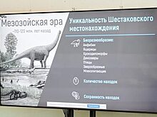 В Кузбассе появится центр исследования динозавров