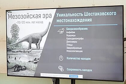 В Кузбассе появится центр исследования динозавров