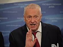 Жириновский предсказал итог беседы Путина и Трампа
