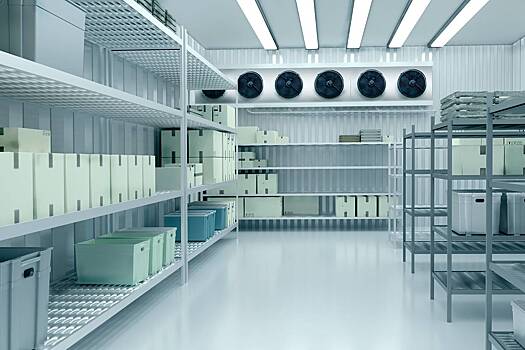 Курьер освободил женщину из промышленного холодильника и спас ей жизнь