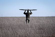 Украина разработала беспилотник, способный долететь до Сибири. Что о нем известно и чего опасаются США?