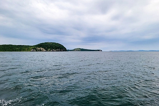 Сброс радиоактивной воды с Фукусимы проверят эксперты из 11 стран