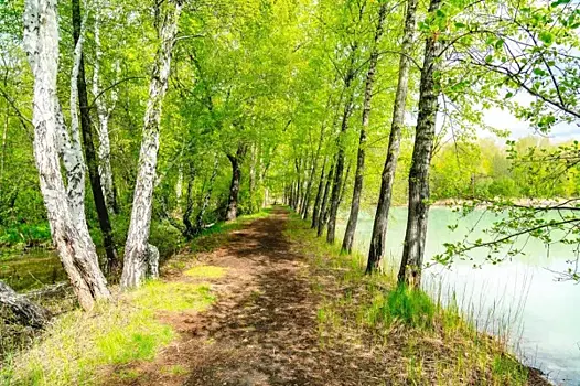 Аллерголог Екатерина Кулова рассказала, как пережить сезон аллергии