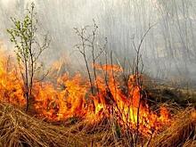 В Чите и Хилокском районе происходит больше всего ландшафтных пожаров в Забайкалье