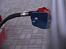 ФАС проверит логистические издержки компаний при поставках бензина в Оренбуржье