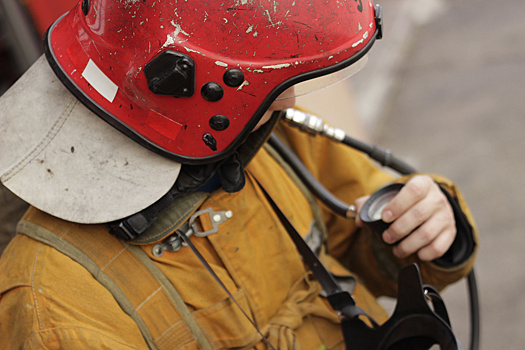 Арктический холод в Беларуси. Как от морозов спасают людей и птиц и предотвращают пожары от печей?