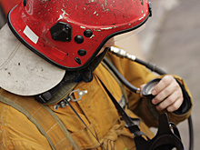 Арктический холод в Беларуси. Как от морозов спасают людей и птиц и предотвращают пожары от печей?