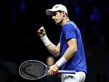 Энди Маррей стартовал на US Open с уверенной победы над Корентеном Муте