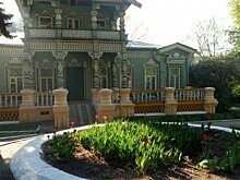 Пензячку взволновал документ о межевании земли в зеленой зоне