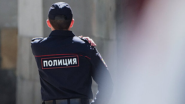 В Москве полиция поймала гулявшего по проезжей части пони