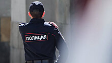 МВД проверит задержание в Москве читавшего стихи мальчика