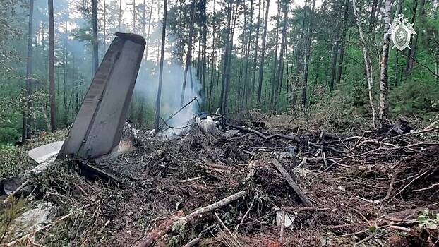 Медведей на месте крушения Ан-24 отпугивают вувузелой