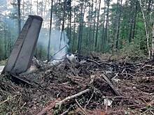 Медведей на месте крушения Ан-24 отпугивают вувузелой