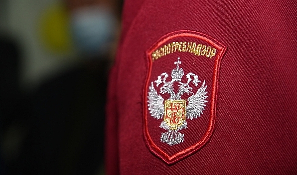 Ольга Зубарева поручила расклеить листовки в подъездах Волгограда