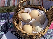 Курский предприниматель Александр Четвериков рассказал об уничтожении производство яиц в регионе