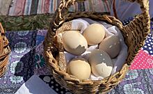 Курский предприниматель Александр Четвериков рассказал об уничтожении производство яиц в регионе