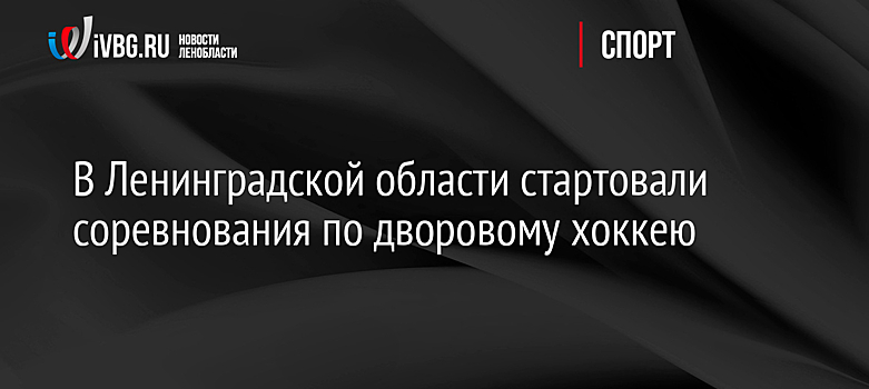 В Ленинградской области стартовали соревнования по дворовому хоккею