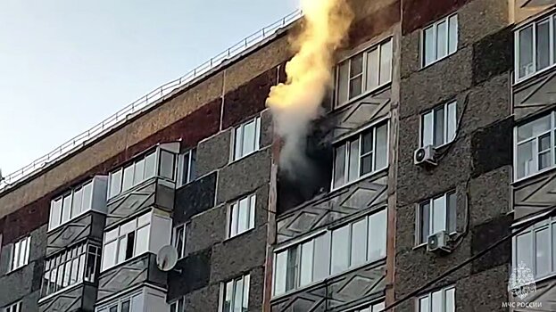 В Ижевске на улице Баранова произошёл пожар в девятиэтажном доме