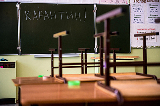 Ученики российской гимназии массово заболели пневмонией