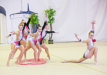 Владимирские гимнастки завоевали 8 золотых медалей