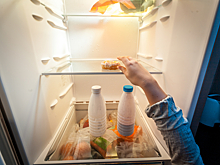 Как изобретение холодильника спасло людей от рака желудка